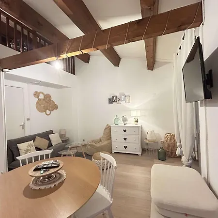 Sm 340-206 Maxime Centre-ville En Mezzanine *