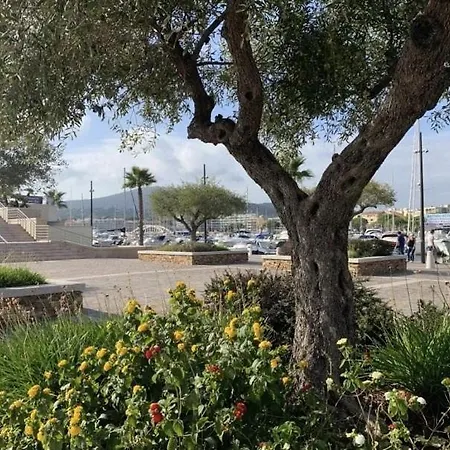 Sm 340-206 Maxime Centre-ville En Mezzanine *