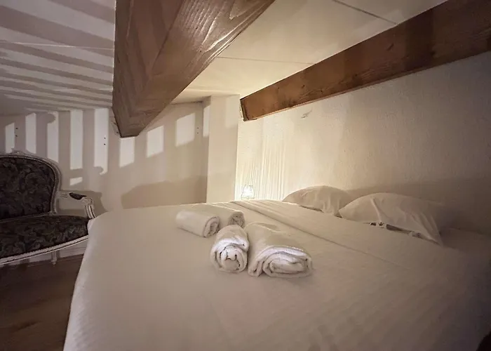 Sm 340-206 Maxime Centre-ville En Mezzanine Lägenhet