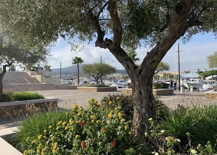 Sm 340-206 Maxime Centre-ville En Mezzanine *