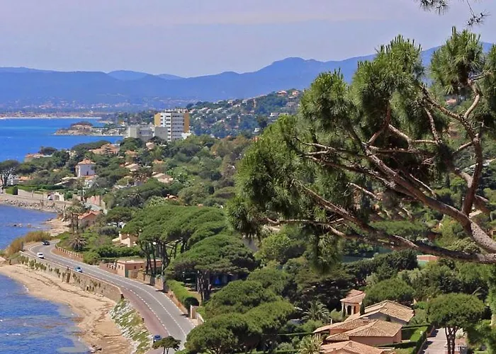 Lägenhet Sm 340-206 Maxime Centre-ville En Mezzanine *